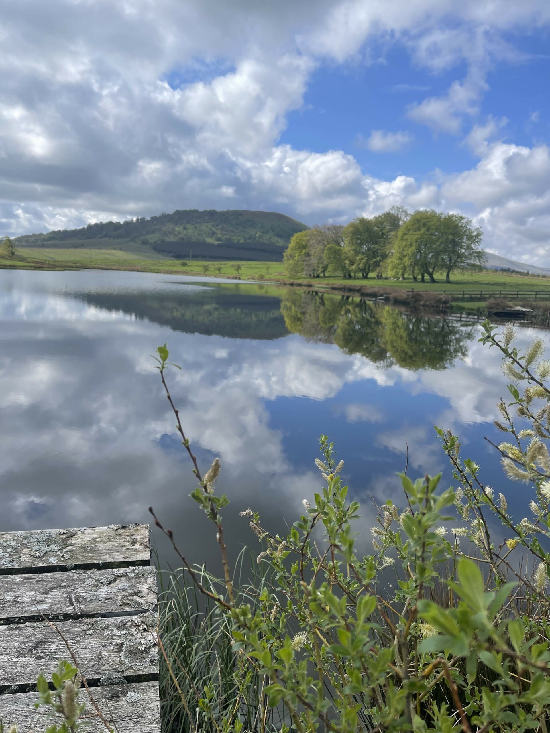 Basecamp North Lakes - Farm Shop, Cafe & Activities