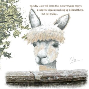 Cato Greetings Card