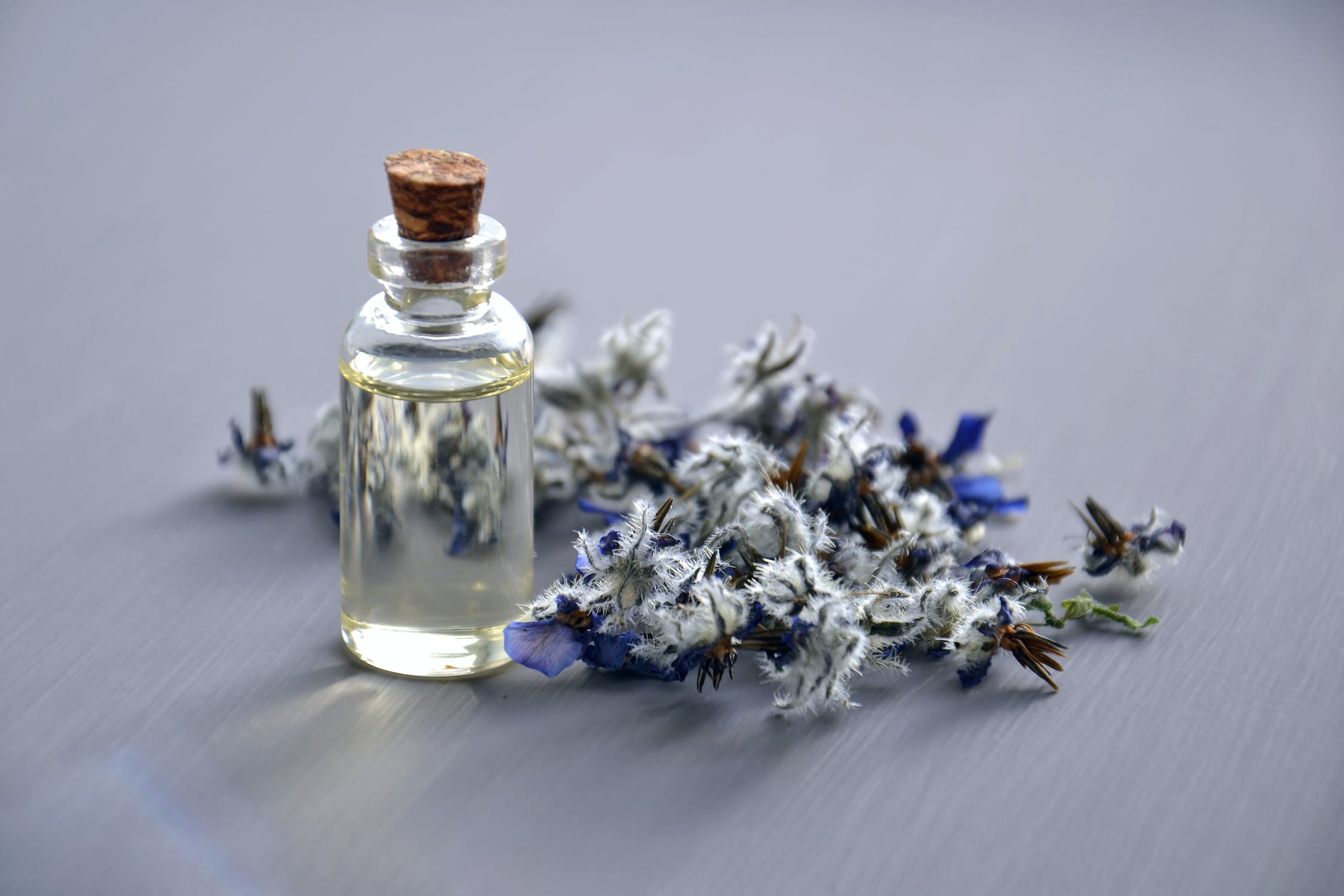 Lavender- oil