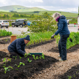 Gardening