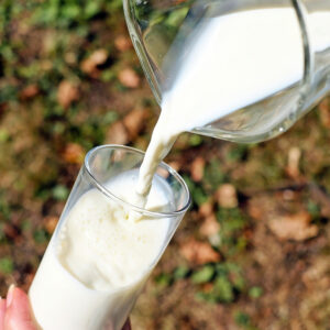 Free From Milks