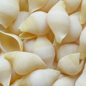 Grains, Pasta, Flour & Rice