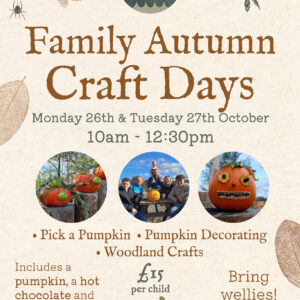 Family Autumn Crafts Day
