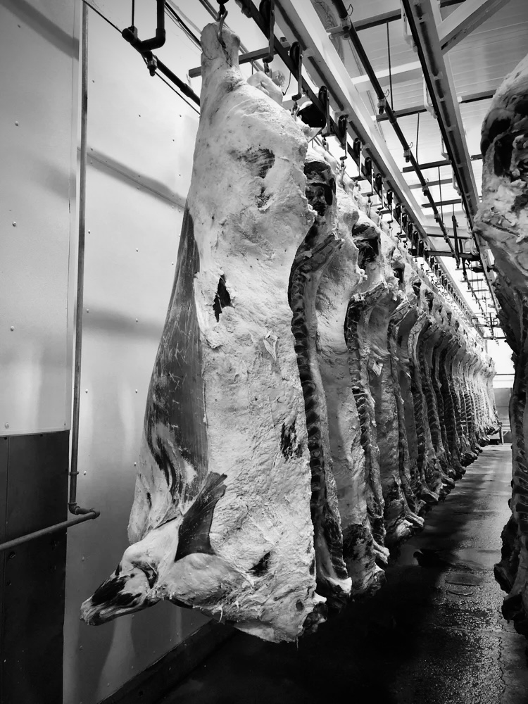 Whole animal bespoke butchery pricing at Basecamp North Lakes